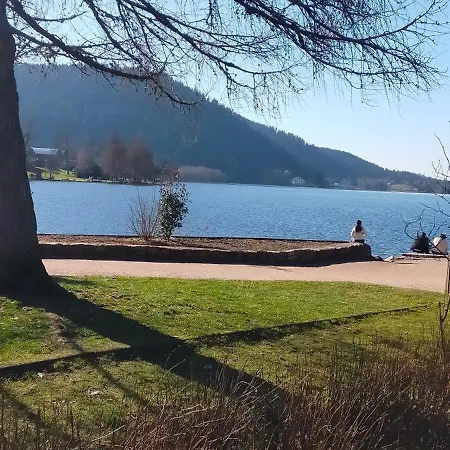 Apartment En Famille Ou Entre Amis Gerardmer