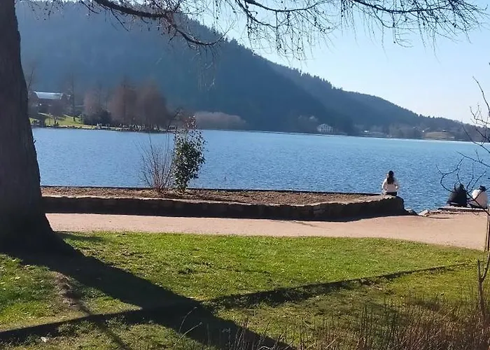 Apartment En Famille Ou Entre Amis Gerardmer